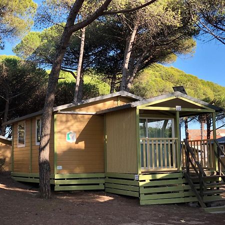Camping La Tamarissiere Agde Zewnętrze zdjęcie