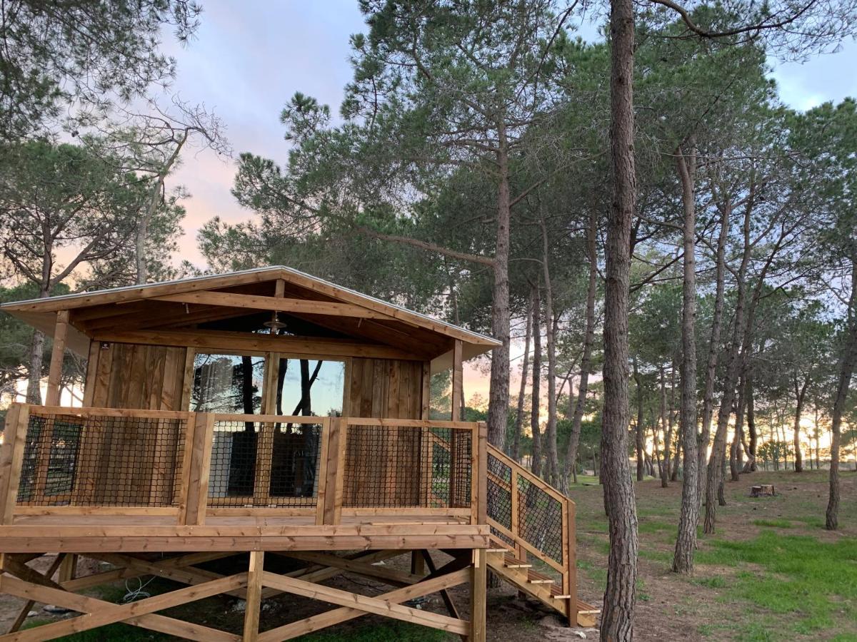 Camping La Tamarissiere Agde Zewnętrze zdjęcie